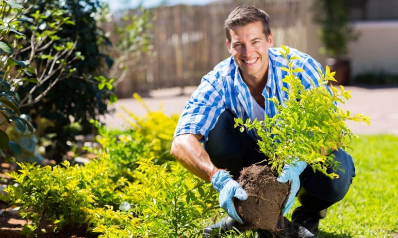 Ten Tips for Healthy Gardening